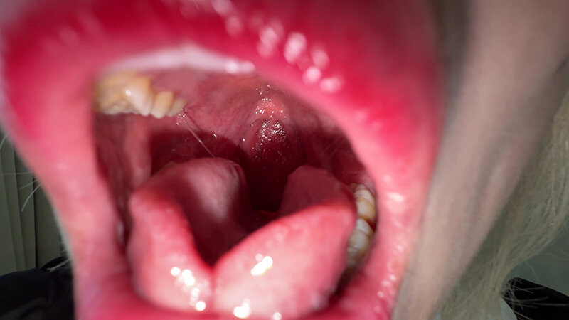 「【安堂はるの】素人お姉さんをナンパ!初体験だらけの刺激的な個人撮影ドキュメント」のサンプル画像5枚目