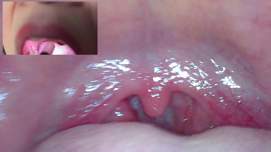 「【口腔観察】歯・舌・喉をじっくり接写!素人4名の口内フェチ動画55分セット」のサンプル画像6枚目