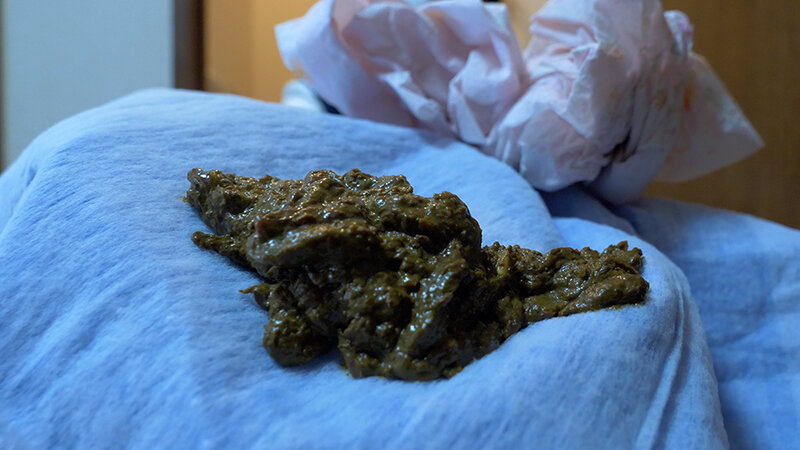 「三浦はな|脱糞・放尿プレイ動画|お漏らし好き必見のスカトロAV作品」のサンプル画像11枚目